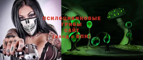винт Лабытнанги