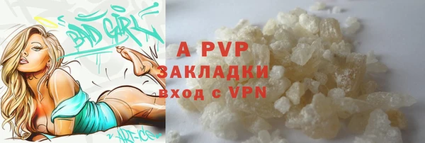 винт Лабытнанги