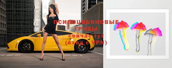 винт Лабытнанги