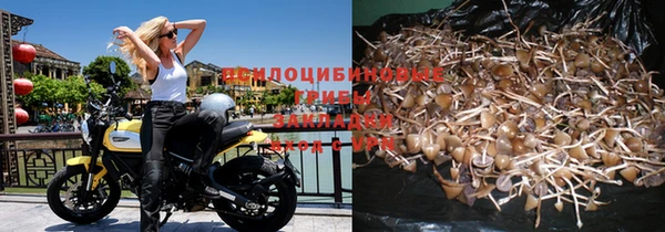 мет Лагань