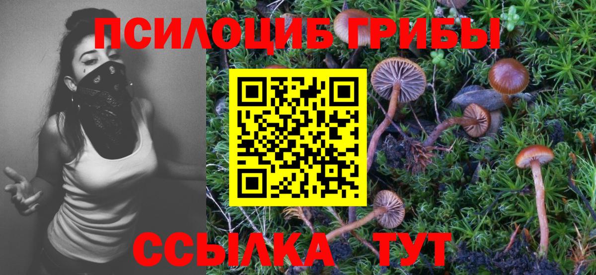 Канск  Псилоцибиновые грибы Psilocybe  Вход с VPN  Псилоцибиновые грибы прущие грибы 