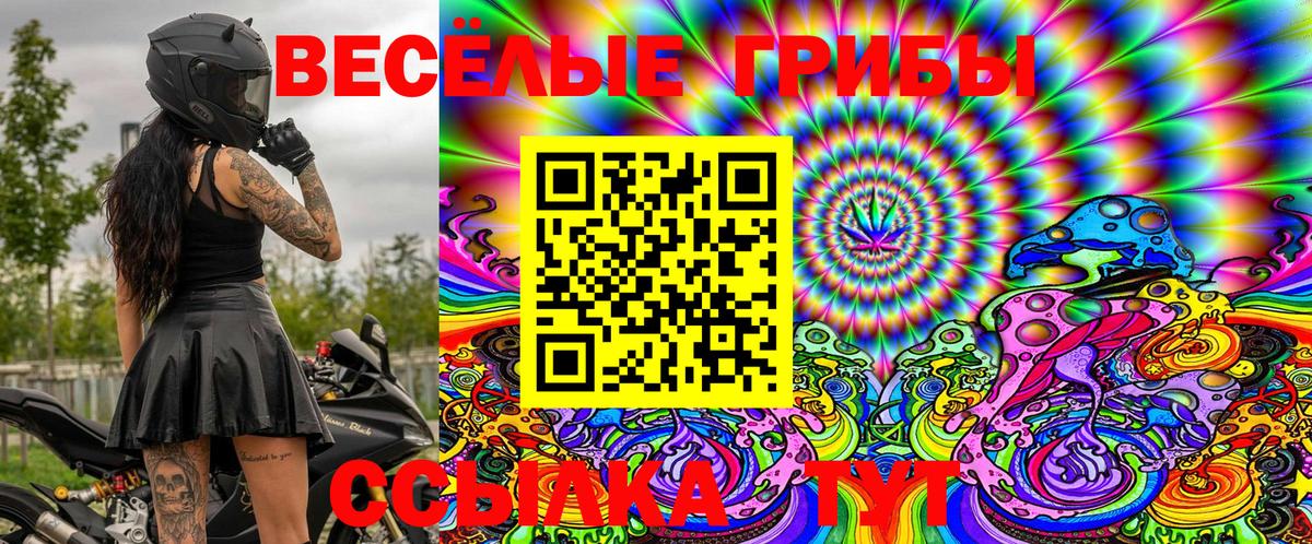 Галлюциногенные грибы Psilocybe Канск